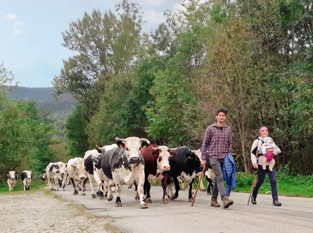 Alpeggio a Bobbio