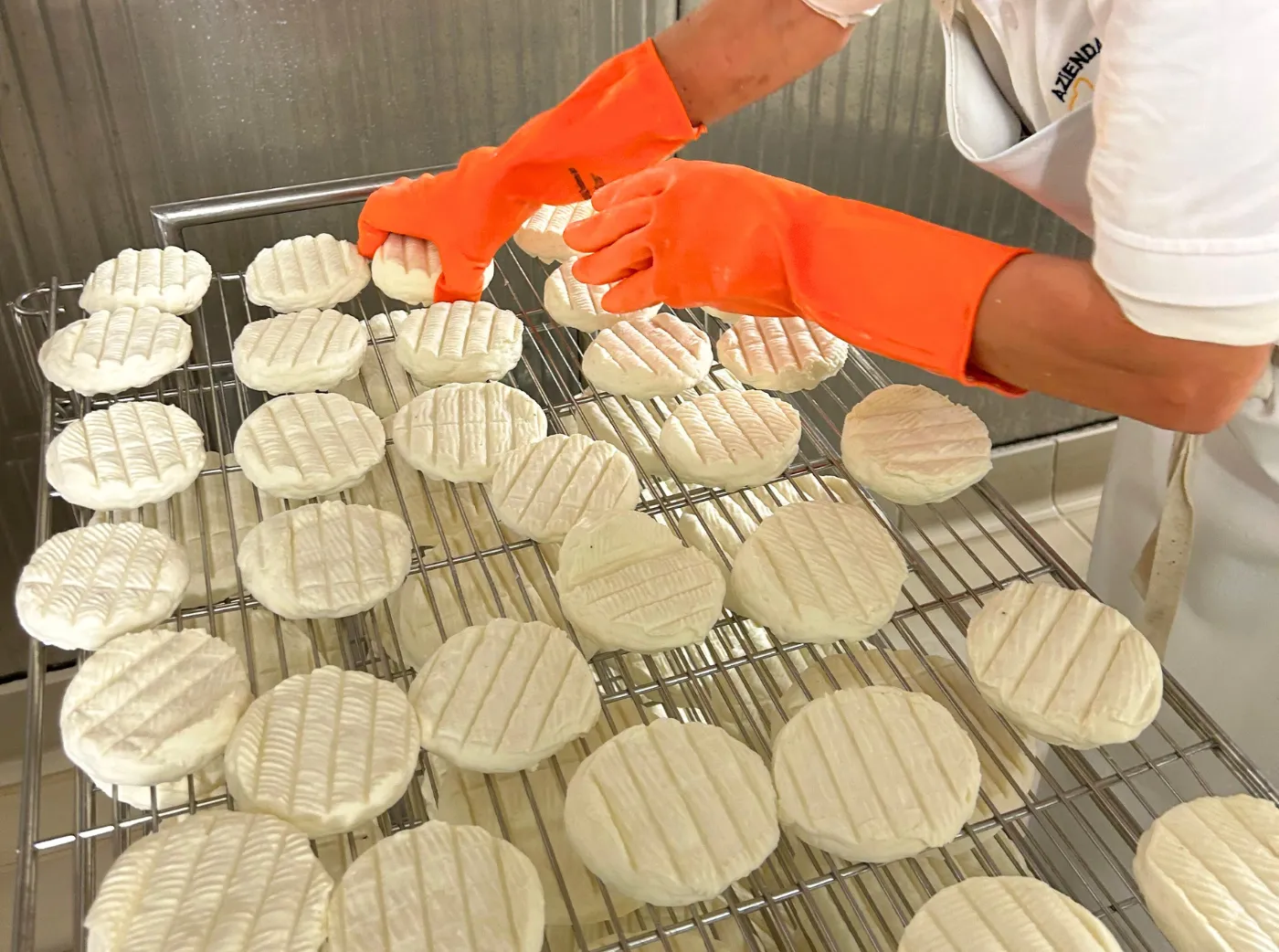 Produzione di formaggi artigianali