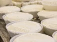 Come si fa il formaggio in casa