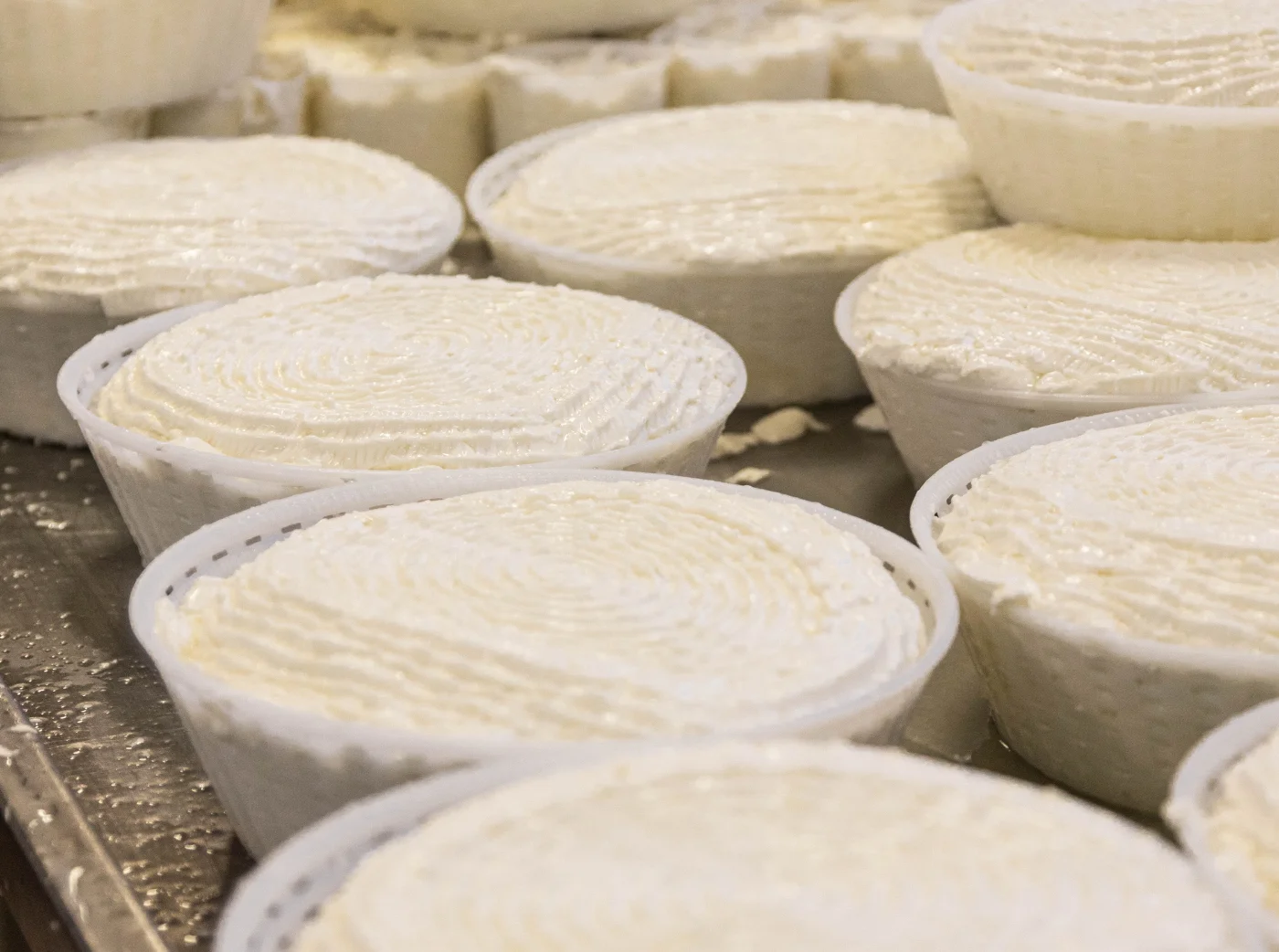 Come si fa il formaggio in casa