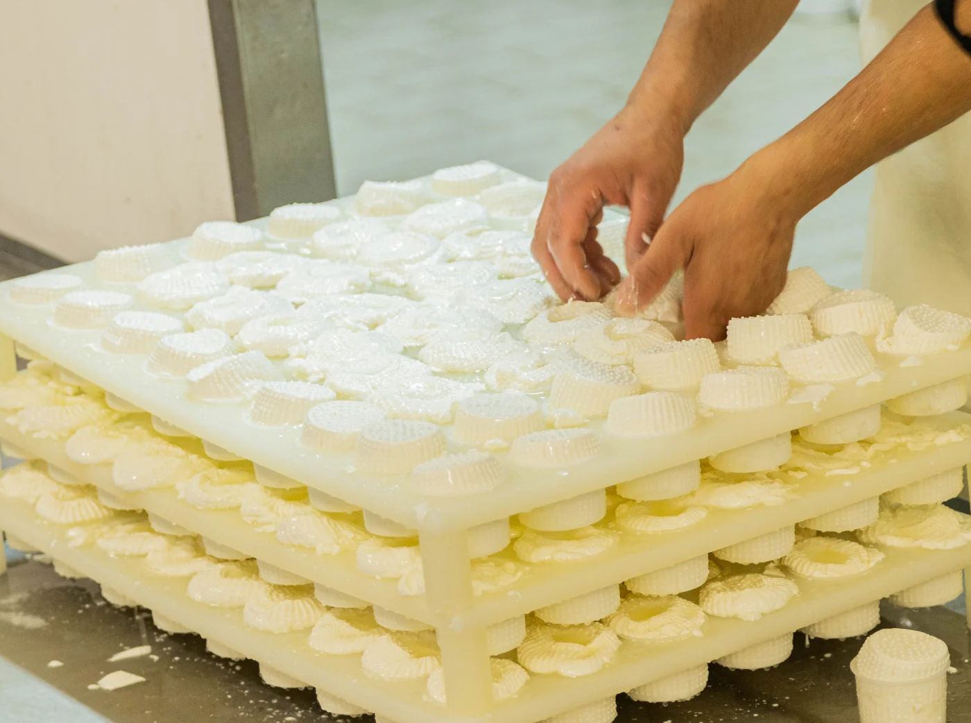come riconoscere un buon formaggio artigianale