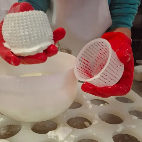 forma di formaggio